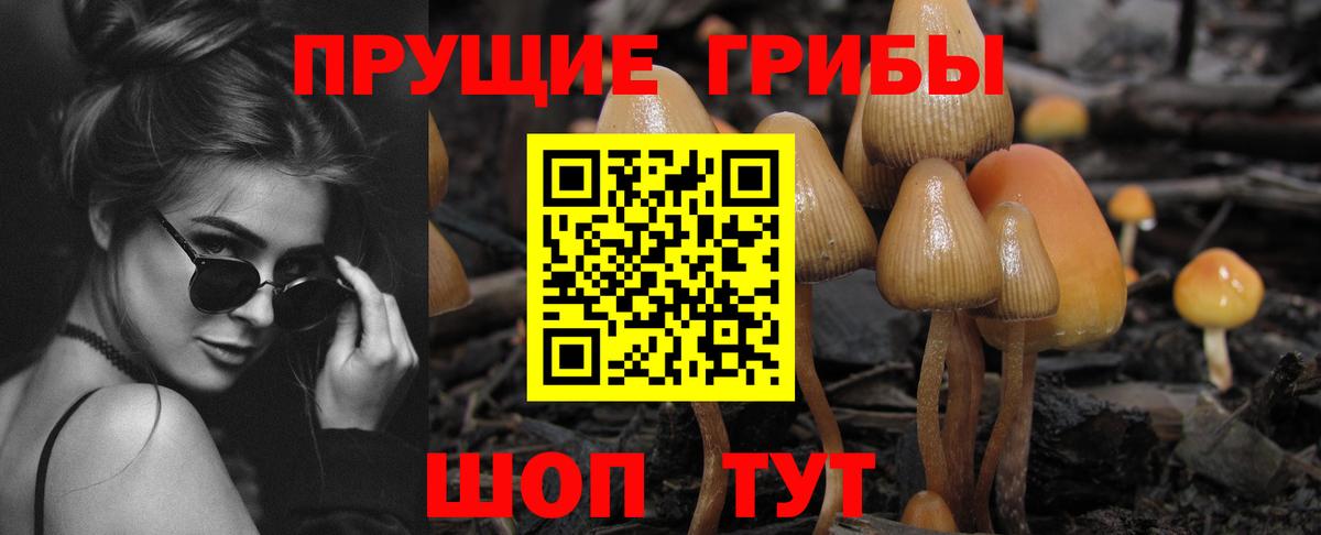 Усть-Кут  как найти закладки  Вход с VPN  Галлюциногенные грибы ЛСД 